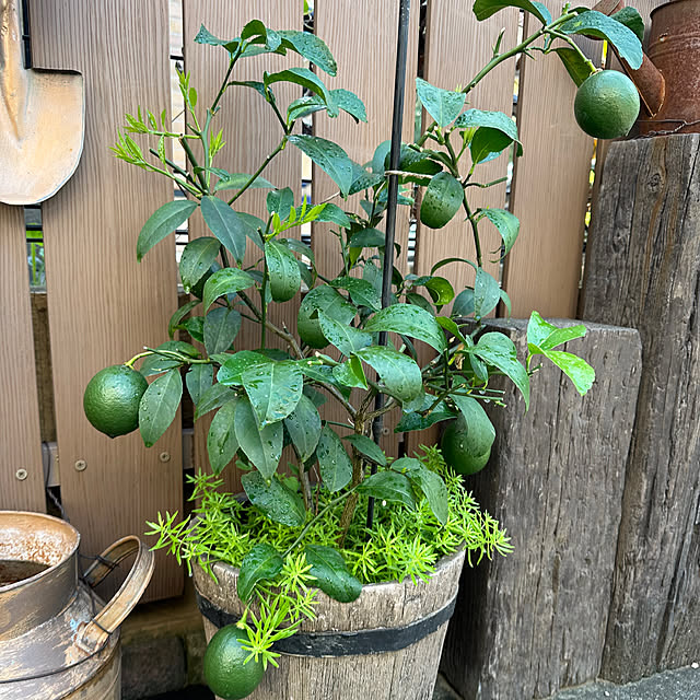 tabasaさんの部屋