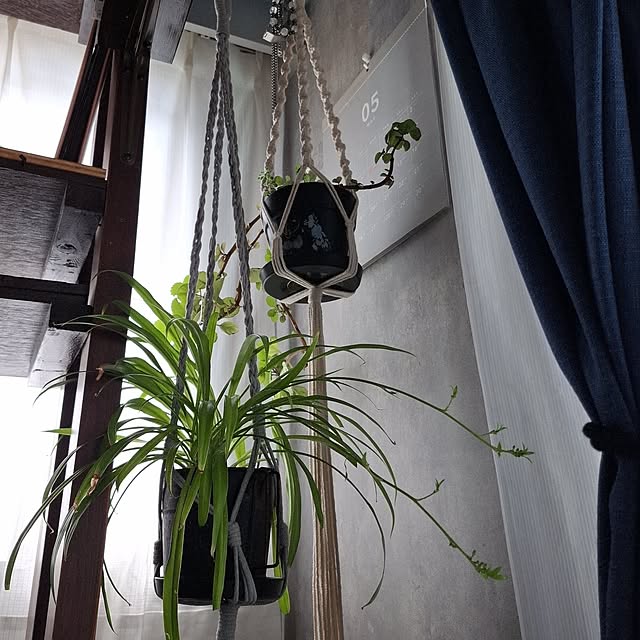 noaさんの実例写真