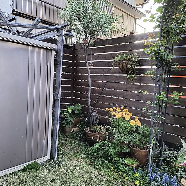 gin_mamaさんの実例写真