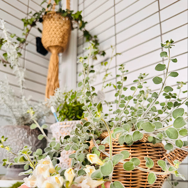 hamahamaさんの実例写真