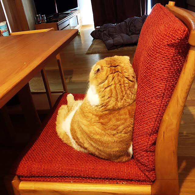 erumikaさんの実例写真