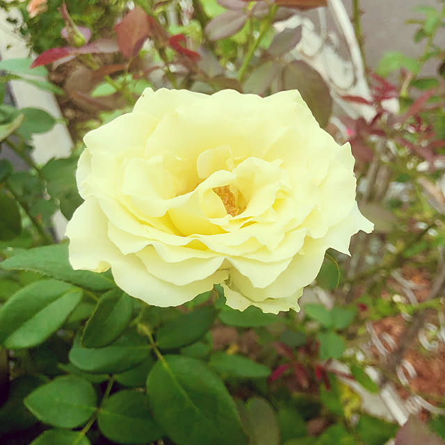 tomoさんの部屋