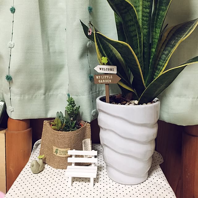 chakoさんの実例写真