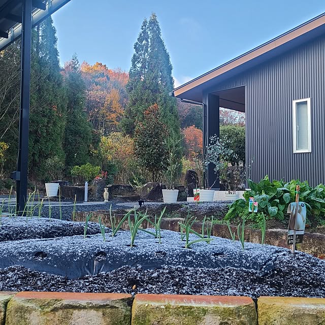 Rubiconさんの実例写真