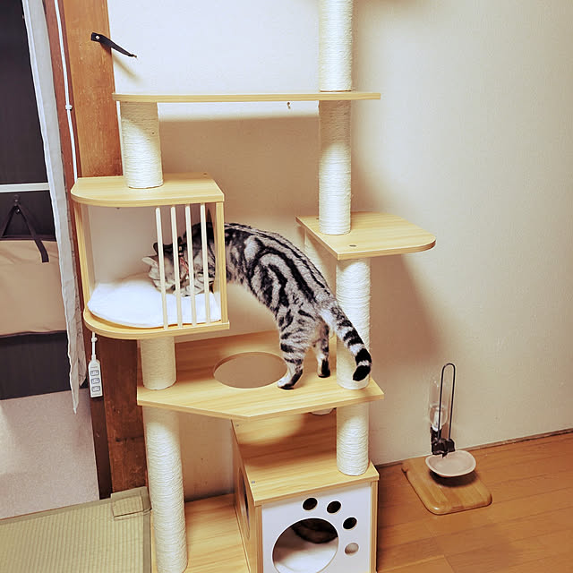 キャットタワー木製MDF頑丈 据え置き おしゃれ 麻紐 爪とぎ キャットタワー木製MDF頑丈 据え置き おしゃれ 麻紐 爪とぎ
