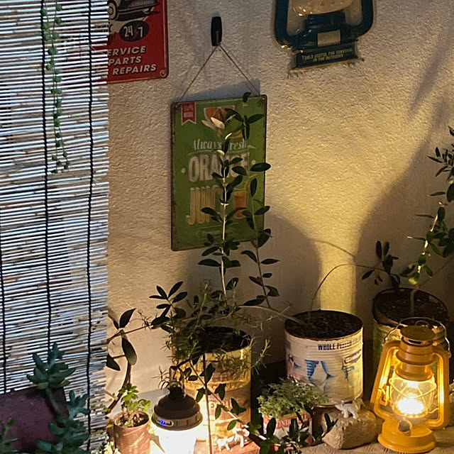 heidiさんの部屋