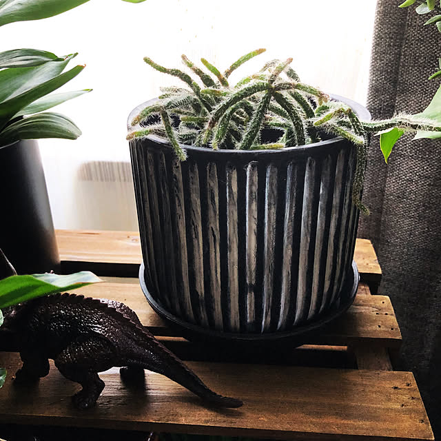 rintarotantan7さんの部屋