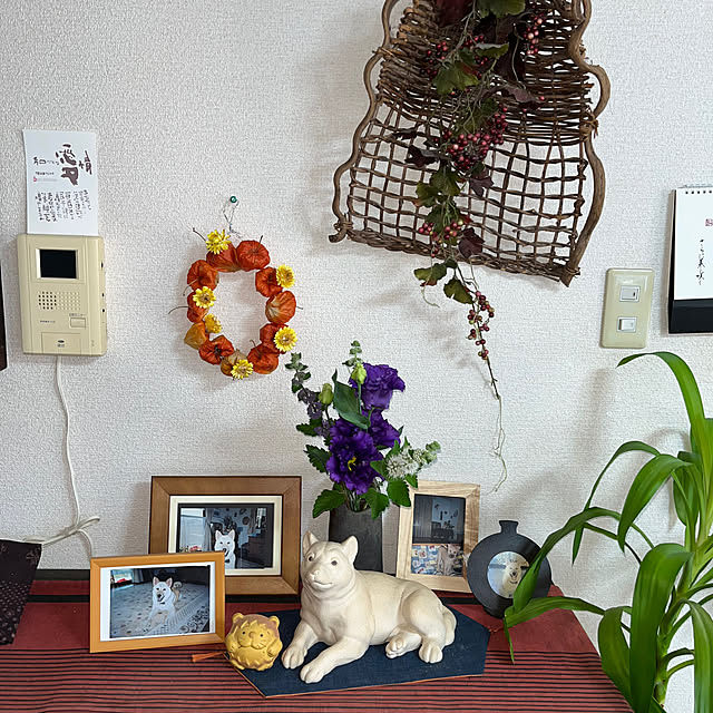 ritsukoさんの部屋