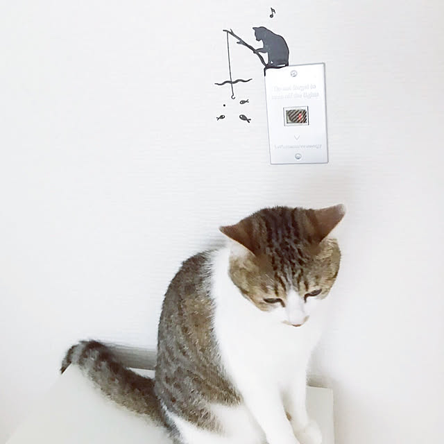 mya___kさんの実例写真