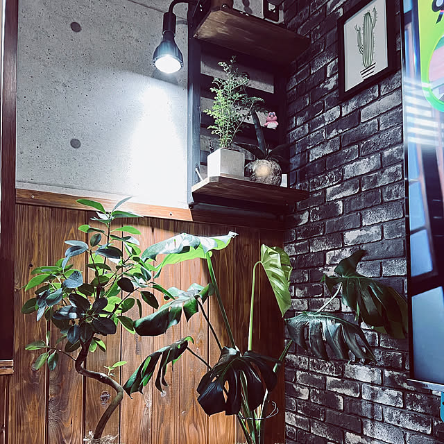 Nobukixさんの実例写真