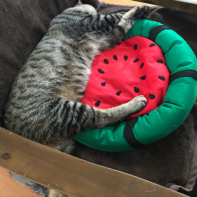mikan161さんの実例写真