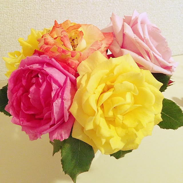 実例写真