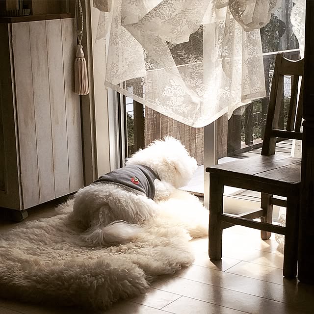 happy_bridgeさんの実例写真