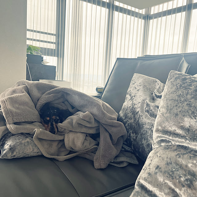 mamamaさんの実例写真