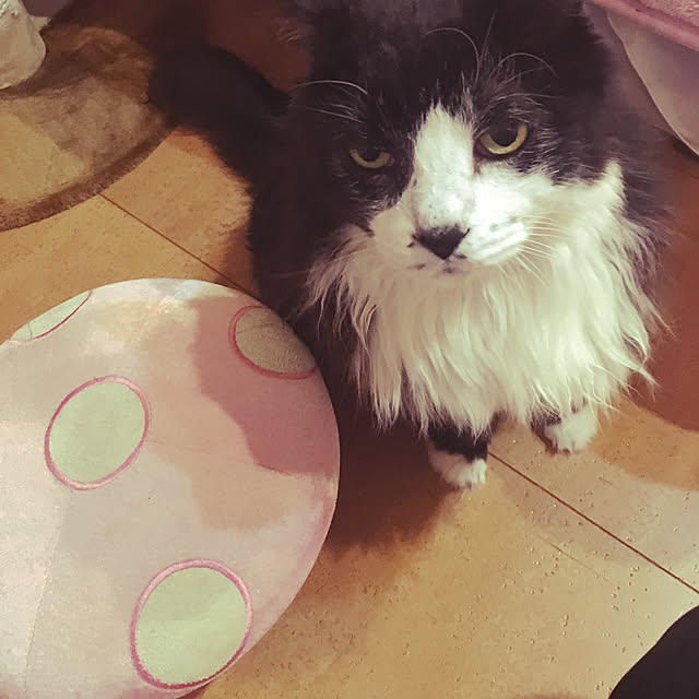 kanaさんの実例写真