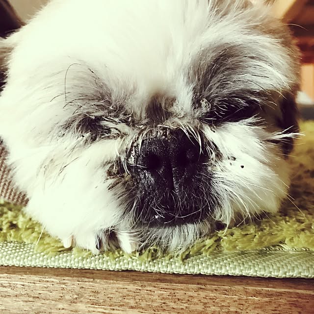 lenkaさんの実例写真