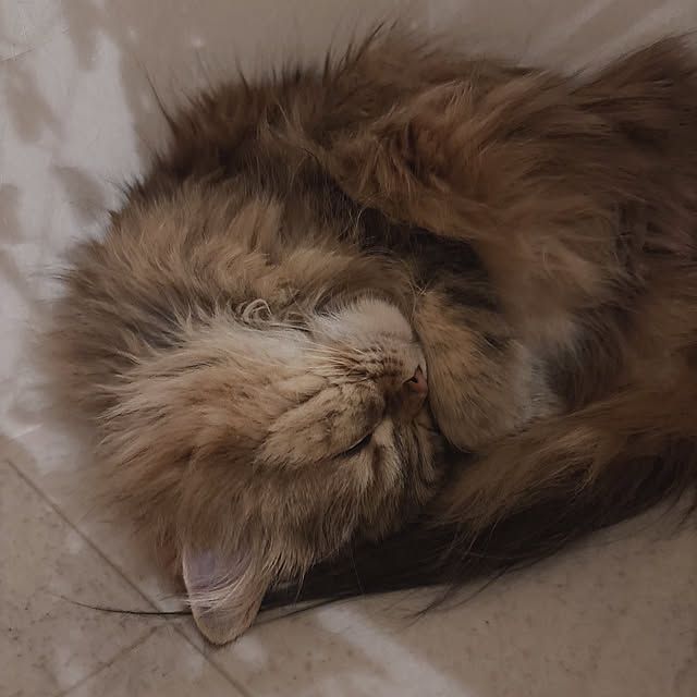 miyu39さんの部屋