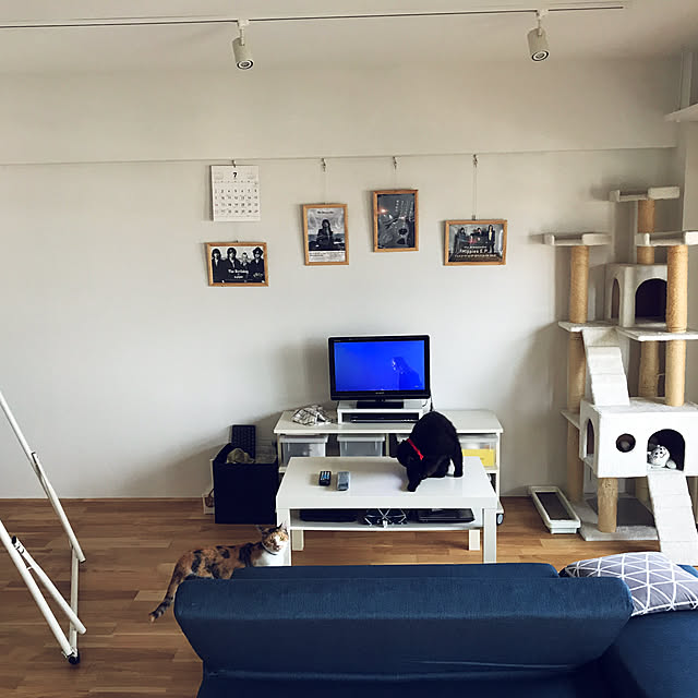 s.uraさんの実例写真