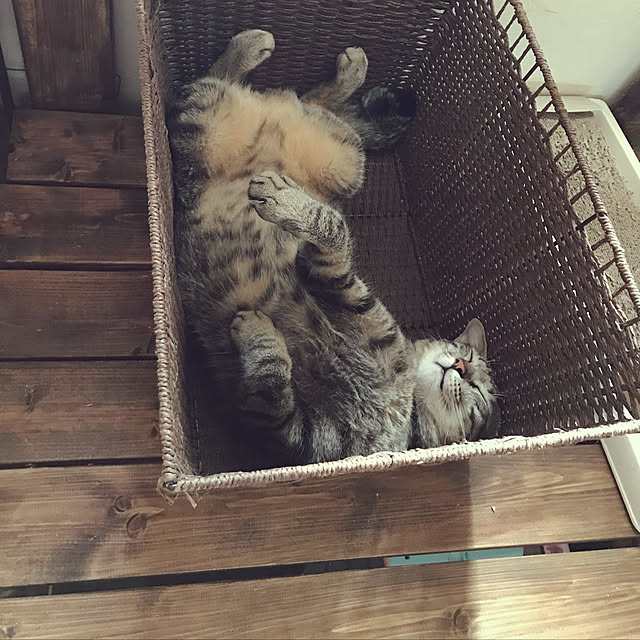mikan161さんの実例写真