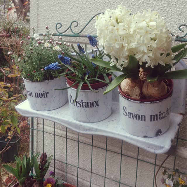 showさんの実例写真