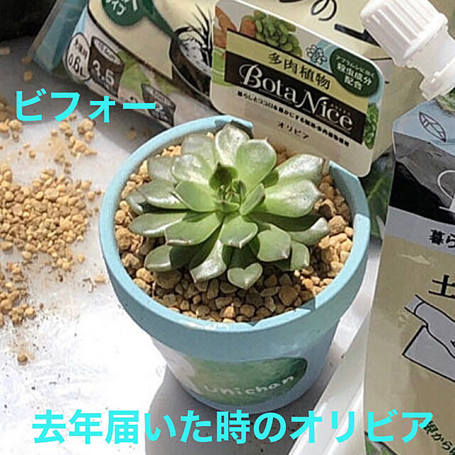 unichanさんの部屋
