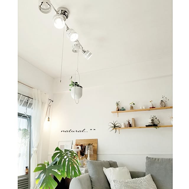 umiumiさんの実例写真