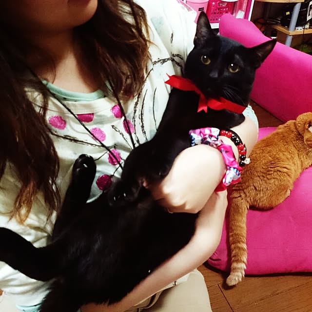 fu-ka24さんの実例写真