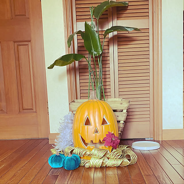 pontaさんの実例写真