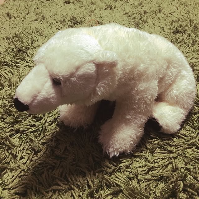 masaさんの実例写真