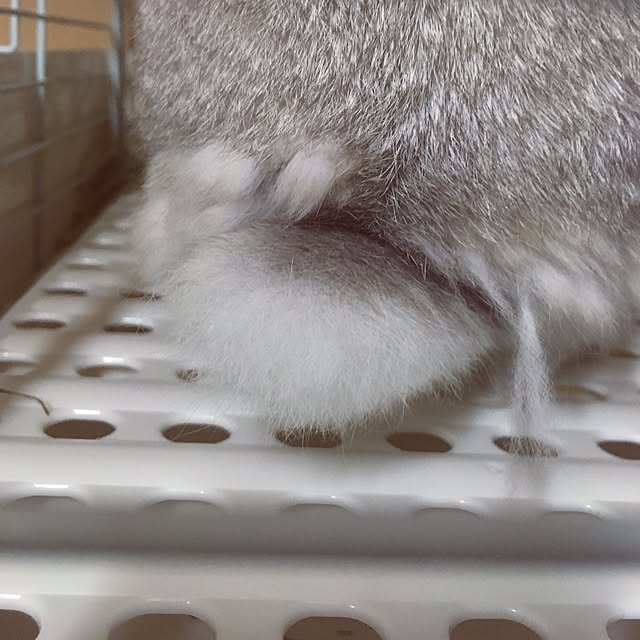 sayasさんの実例写真