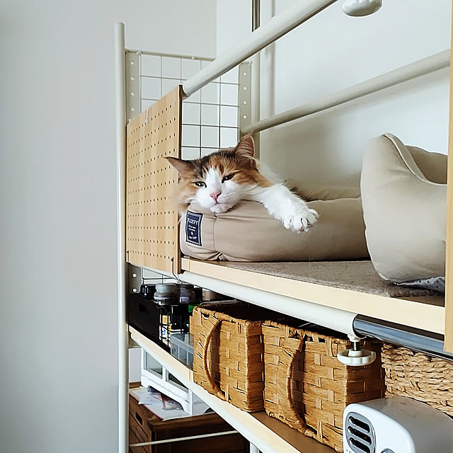 +CHIHARU+さんの実例写真