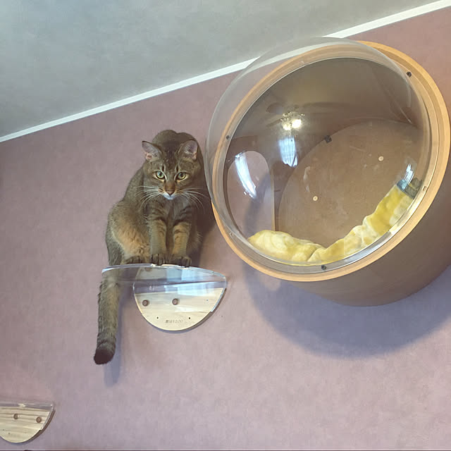 jill_lowさんの実例写真