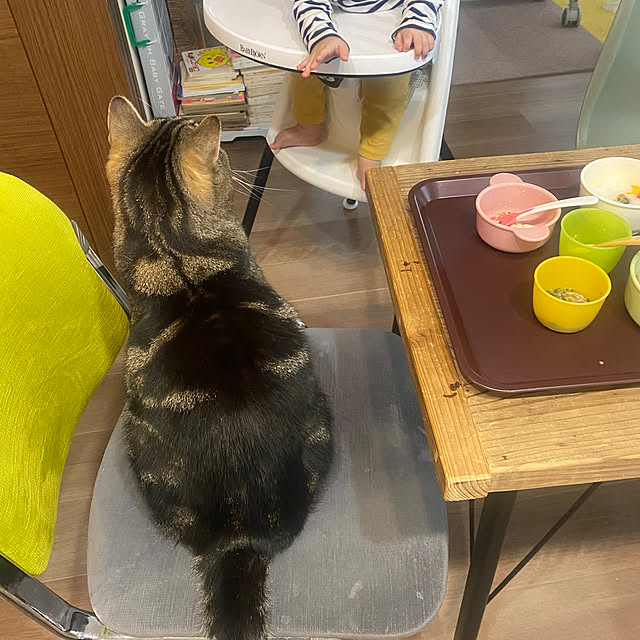 mikomaruさんの実例写真