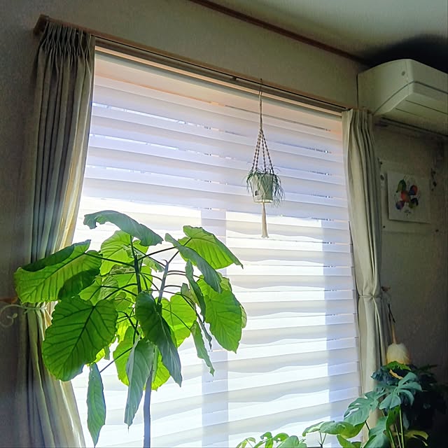 h.t.さんの実例写真