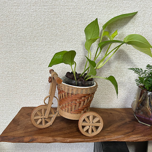 ritsukoさんの部屋