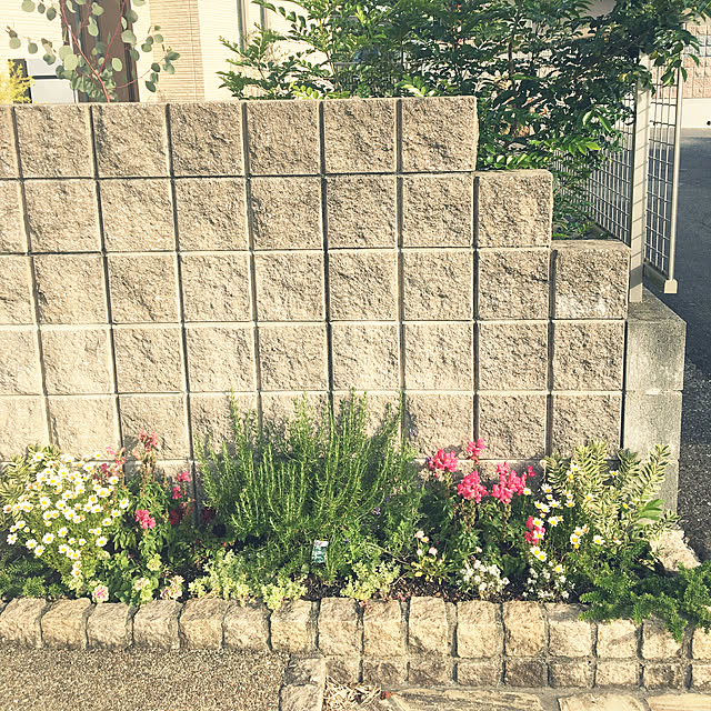 vol.1469写真