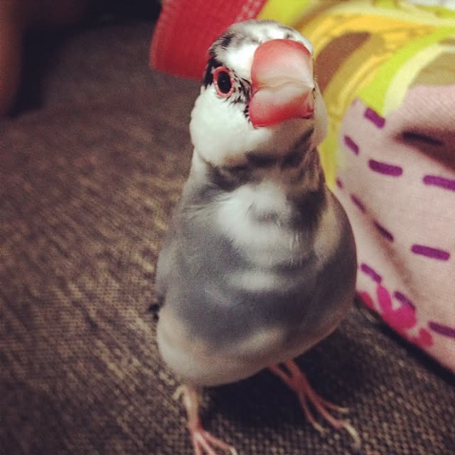 taroさんの実例写真