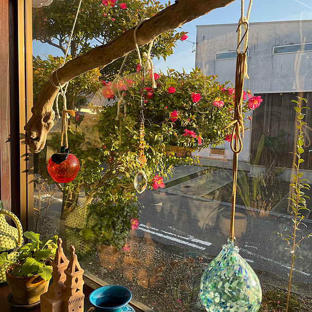 shin0719さんの部屋