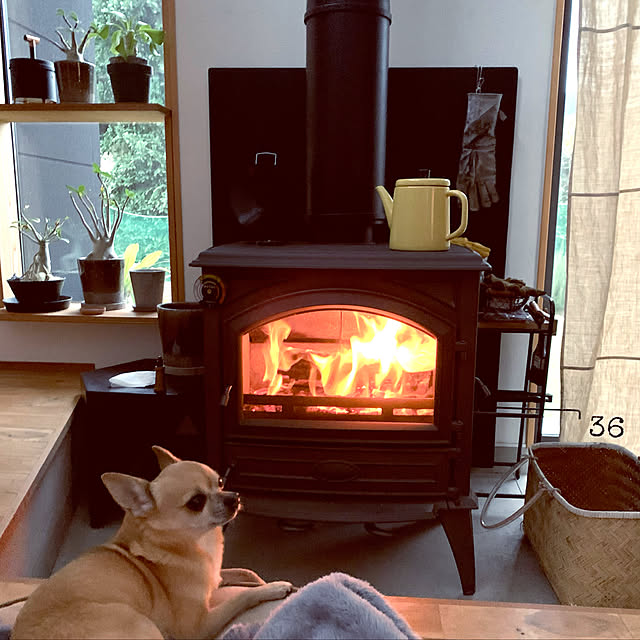 mkjさんの実例写真