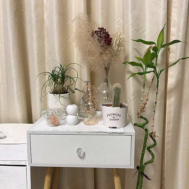 miepさんの実例写真