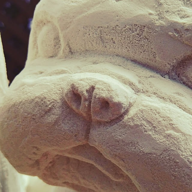 maiさんの実例写真