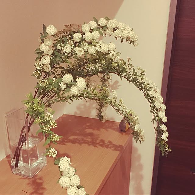 m_h_tさんの実例写真