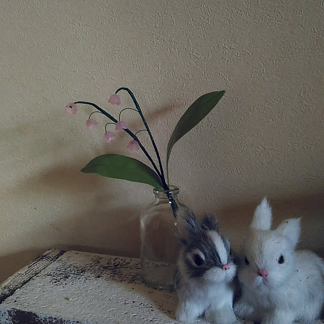 kikusukeさんの実例写真