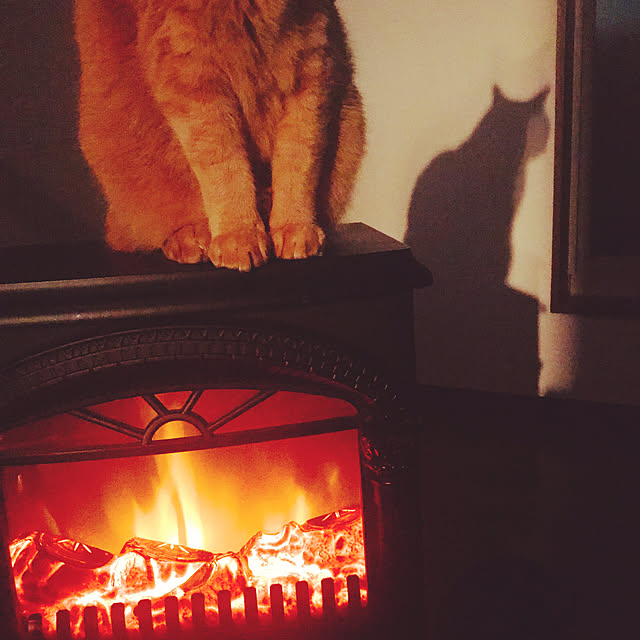 Tommyさんの実例写真