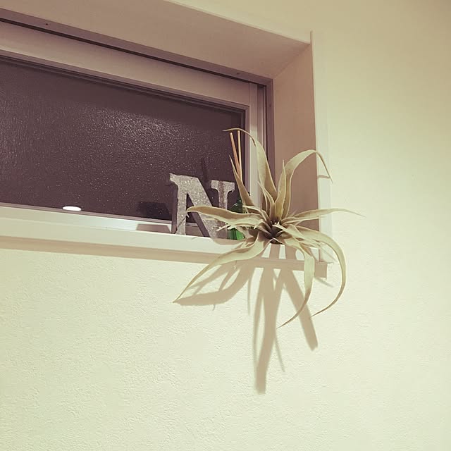 mochiさんの実例写真