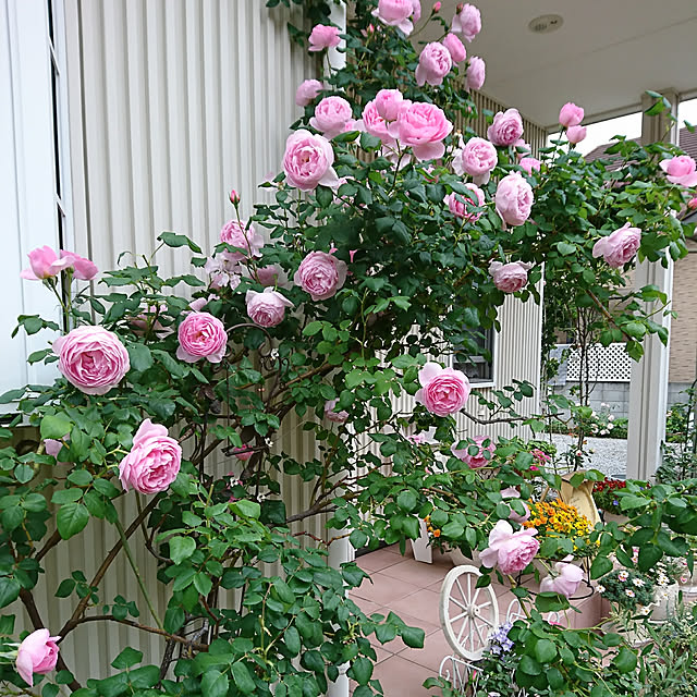 fleur-mamanさんの実例写真