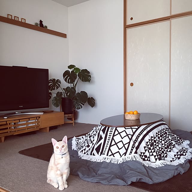 hiyupan88さんの実例写真
