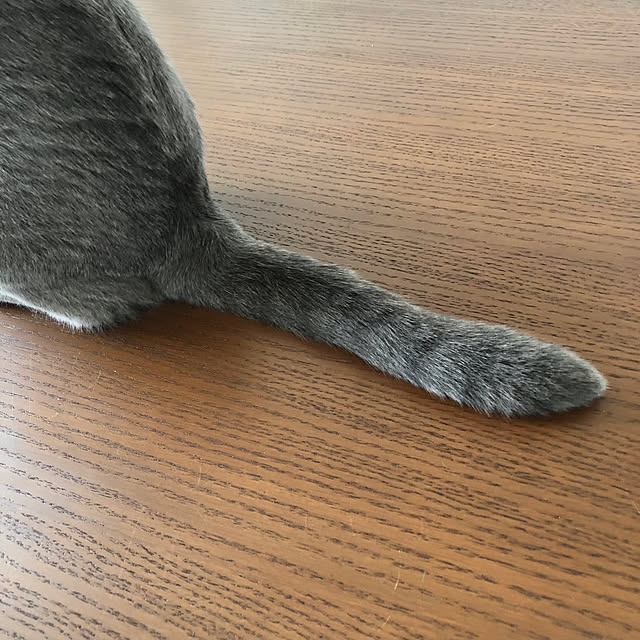 GUMIMINさんの実例写真