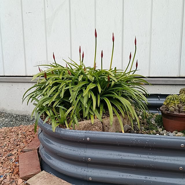 asakenさんの部屋