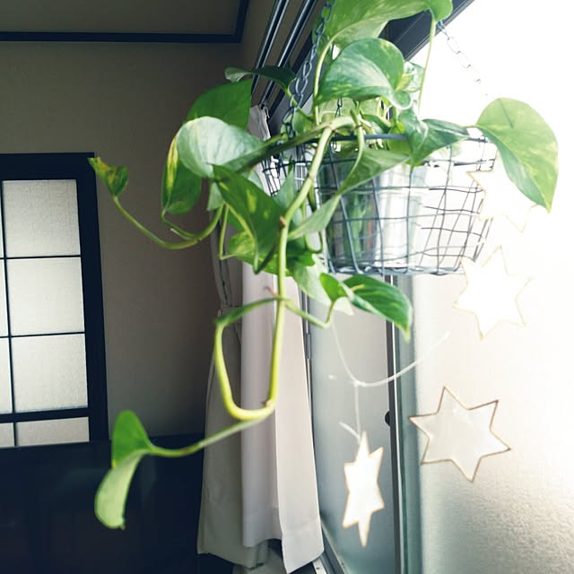 10さんの実例写真